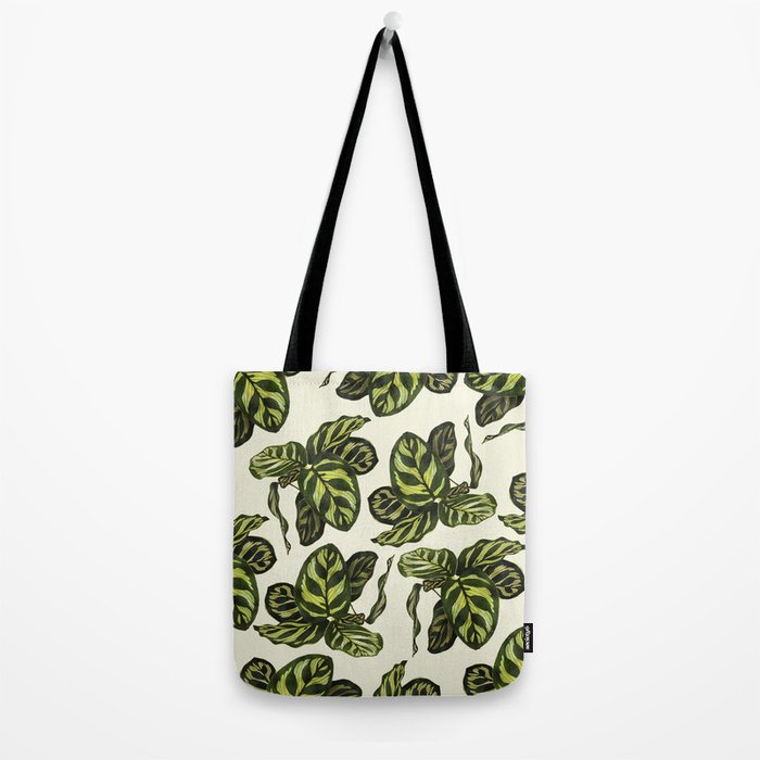 calathea botanical interior plant Tote Bag Gallery Image 2