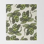 calathea botanical interior plant Throw Blanket Gallery Image 2