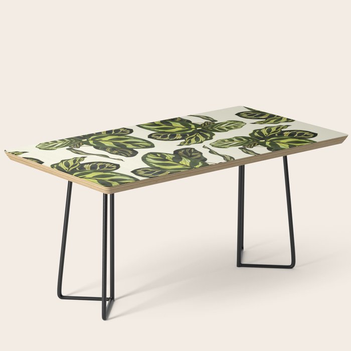 calathea botanical interior plant Coffee Table Gallery Image 1