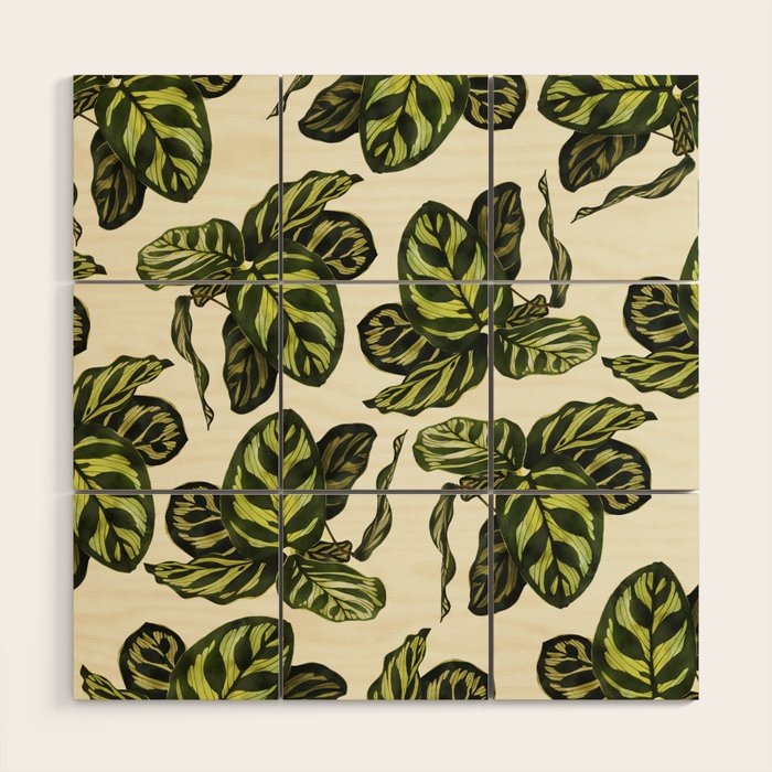 calathea botanical interior plant Wood Wall Art Gallery Image 1