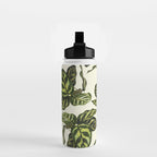 calathea botanical interior plant Water Bottle Gallery Image 2