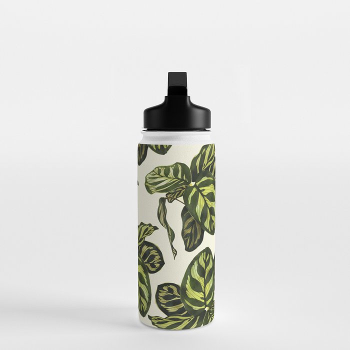 calathea botanical interior plant Water Bottle Gallery Image 3