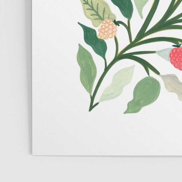 Raspberry Poster Gallery Image 3