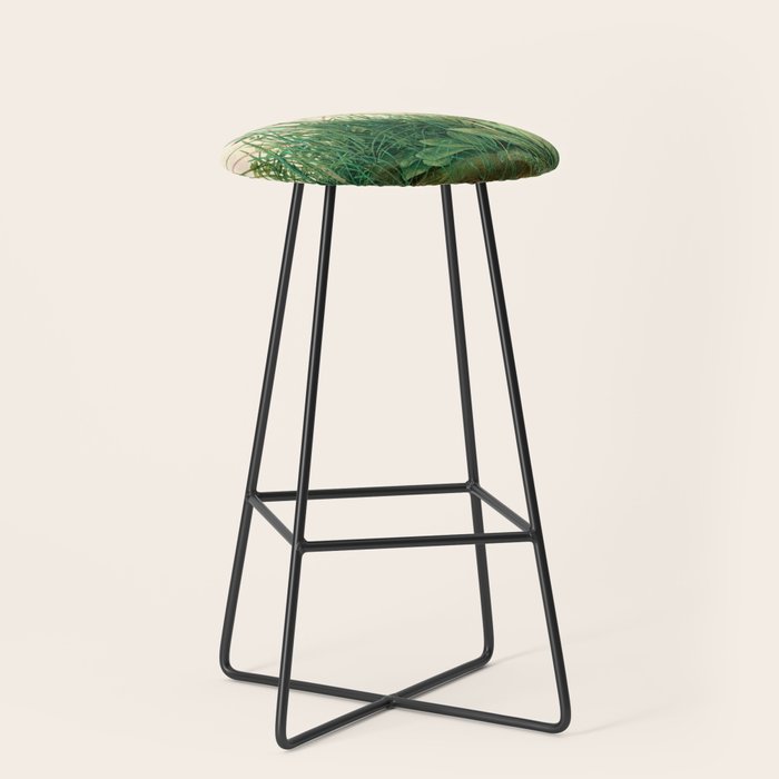 Albrecht Dürer The Great Piece of Turf ,1503 Stool Gallery Image 1