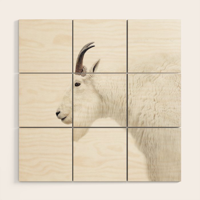 NORDIC MOUNTAIN GOAT Wood Wall Art Gallery Image 1
