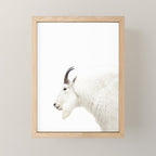 NORDIC MOUNTAIN GOAT Mini Art Print Gallery Image 1