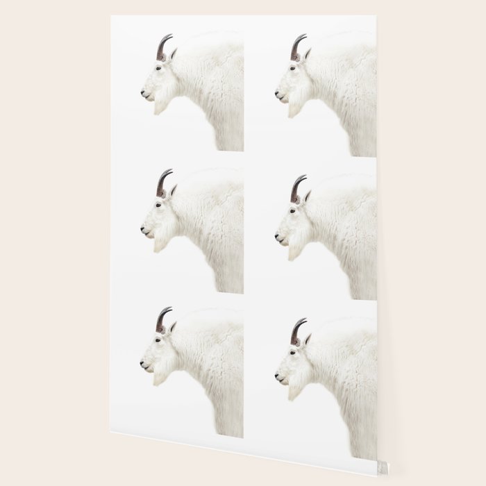 NORDIC MOUNTAIN GOAT Wallpaper Gallery Image 2
