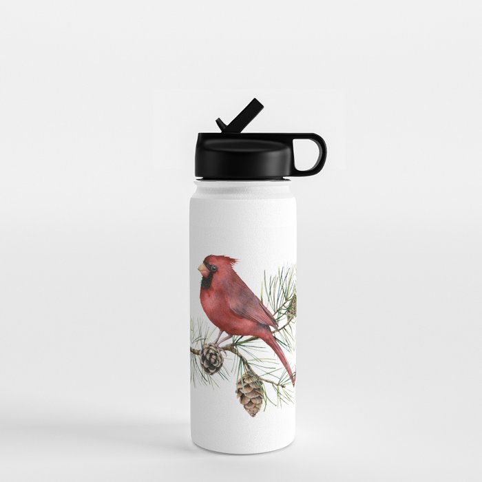 Christmas Red Cardinal Bird and Pine Watercolor Water Bottle Gallery Image 1