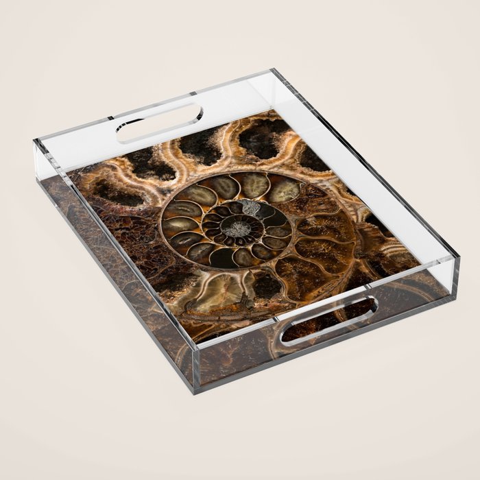 Earth treasures - Fossil in brown tones Acrylic Tray Gallery Image 1