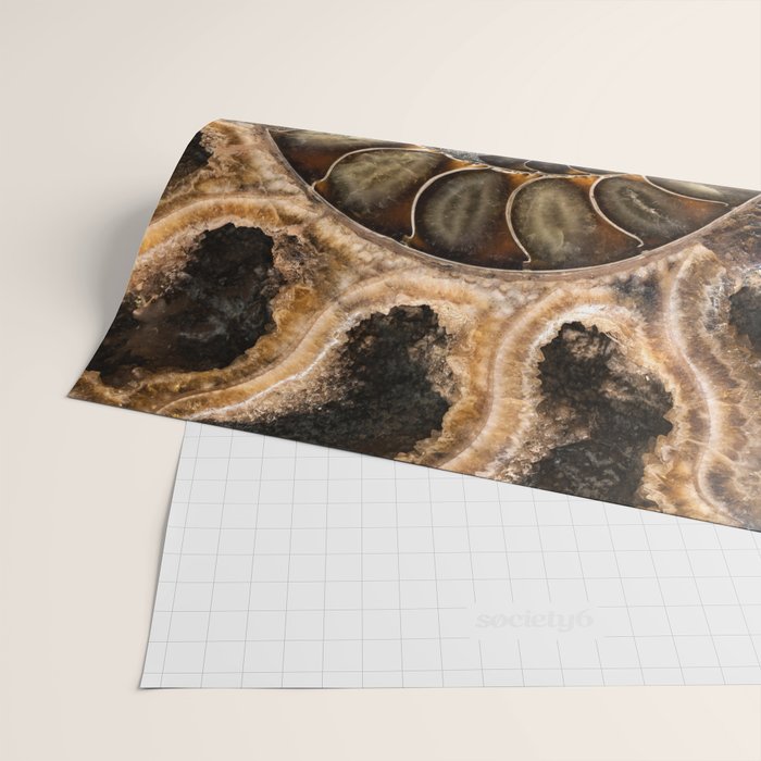 Earth treasures - Fossil in brown tones Wrapping Paper Gallery Image 2