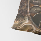 Earth treasures - Fossil in brown tones Pillow Sham Gallery Image 4