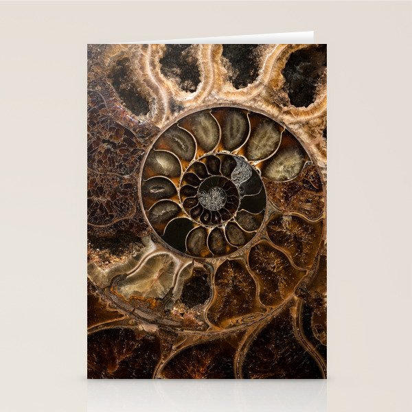 Earth treasures - Fossil in brown tones Stationery Card Gallery Image 2