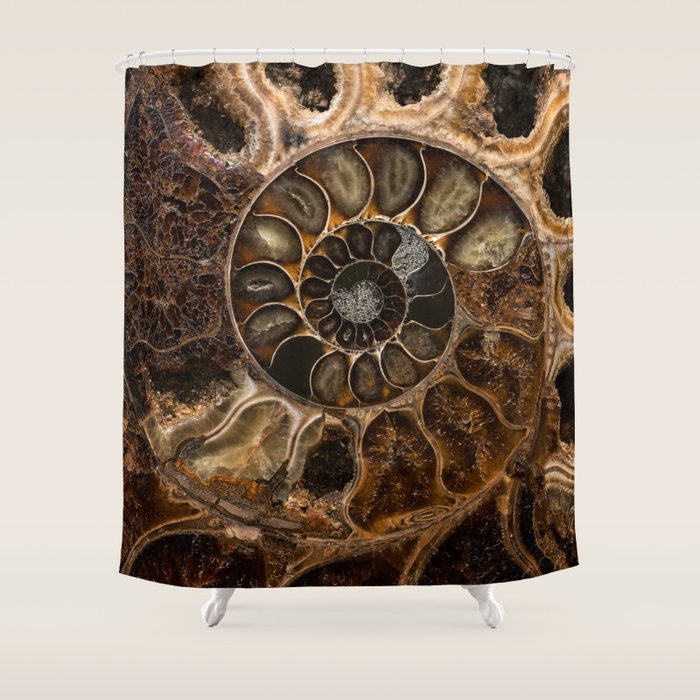 Earth treasures - Fossil in brown tones Shower Curtain Gallery Image 1