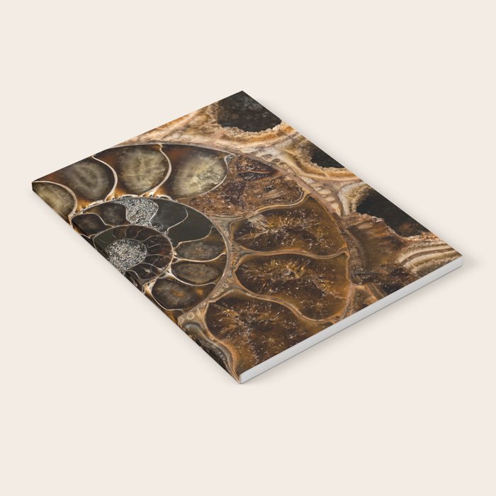 Earth treasures - Fossil in brown tones Notebook Gallery Image 2