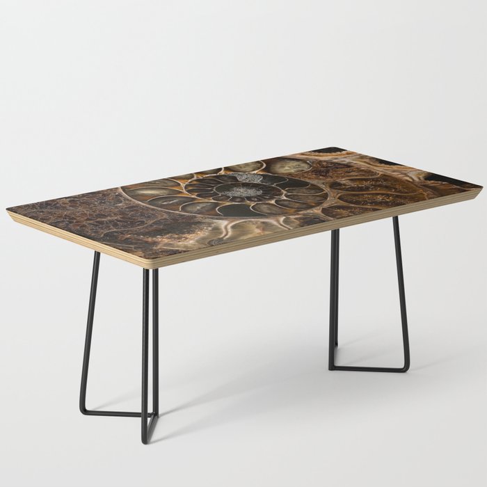 Earth treasures - Fossil in brown tones Coffee Table Gallery Image 1