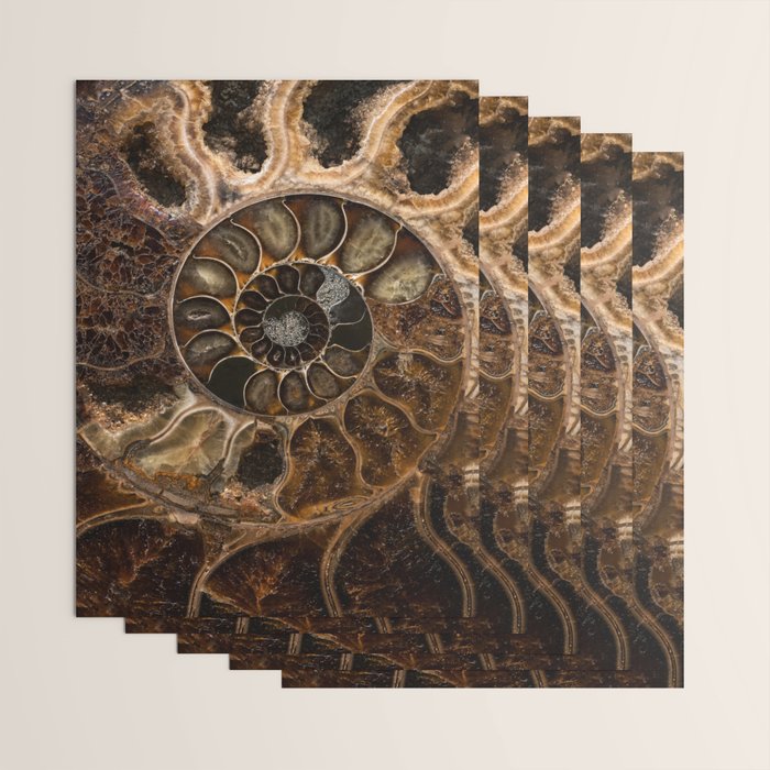 Earth treasures - Fossil in brown tones Wrapping Paper Gallery Image 3