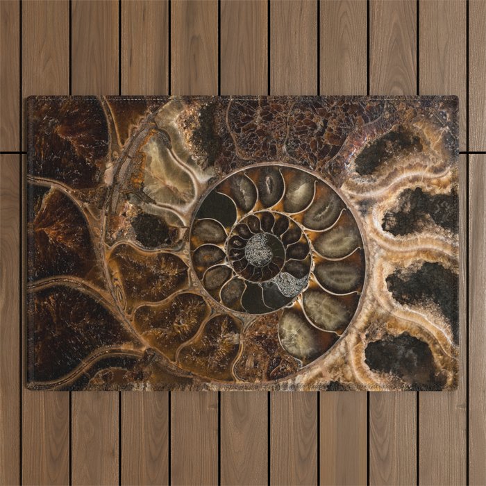 Earth treasures - Fossil in brown tones Outdoor Rug Gallery Image 1
