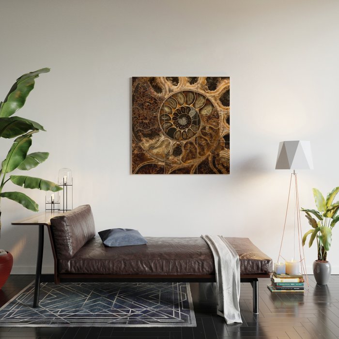 Earth treasures - Fossil in brown tones Wood Wall Art Gallery Image 2
