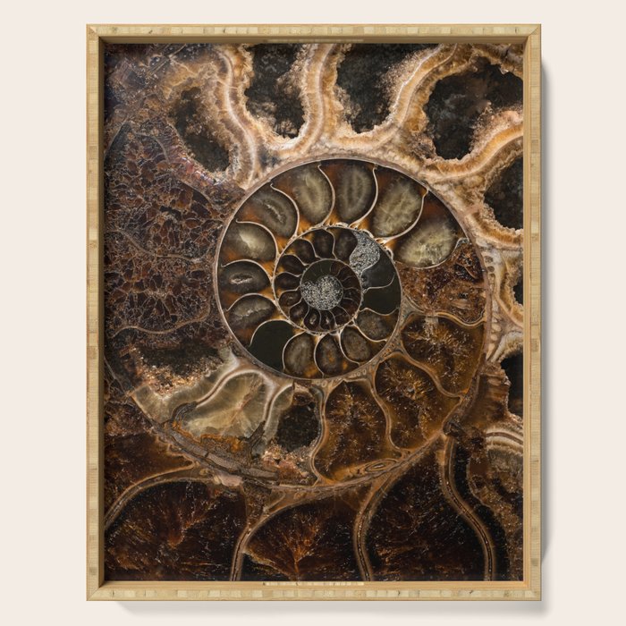 Earth treasures - Fossil in brown tones Serving Tray Gallery Image 1