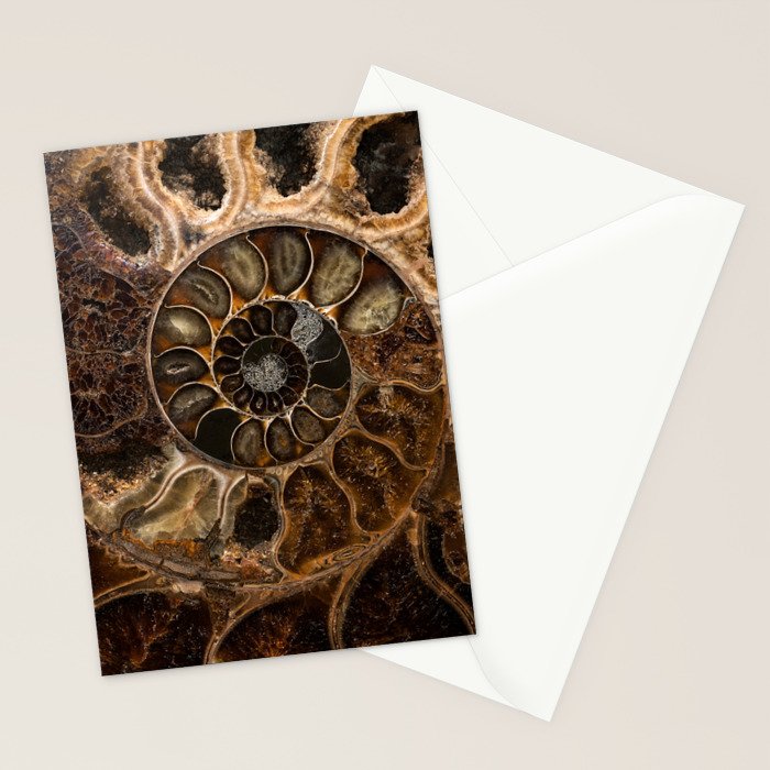 Earth treasures - Fossil in brown tones Stationery Card Gallery Image 2