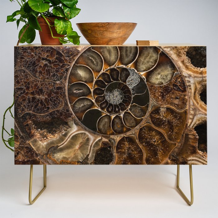 Earth treasures - Fossil in brown tones Credenza Gallery Image 1