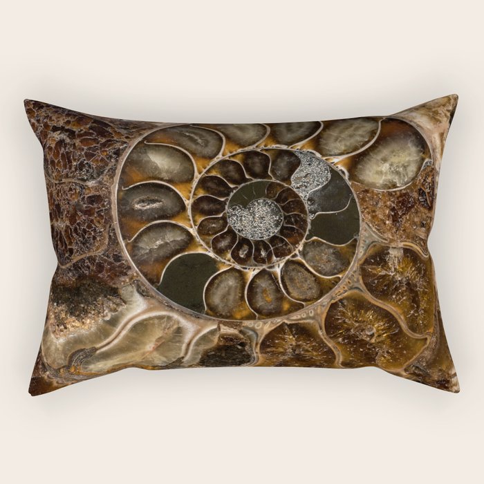 Earth treasures - Fossil in brown tones Rectangular Pillow Gallery Image 2