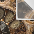 Earth treasures - Fossil in brown tones Wall Tapestry Gallery Image 3