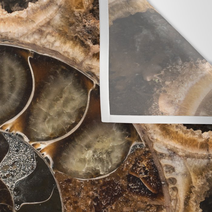 Earth treasures - Fossil in brown tones Wall Tapestry Gallery Image 3