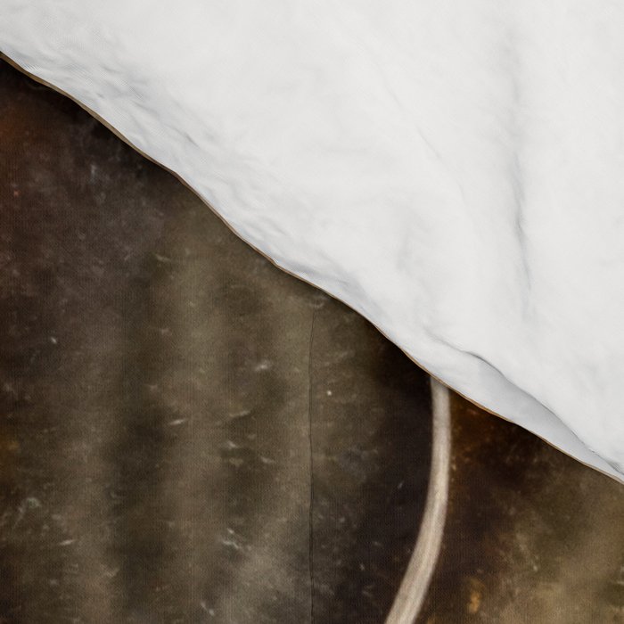 Earth treasures - Fossil in brown tones Comforter Gallery Image 4