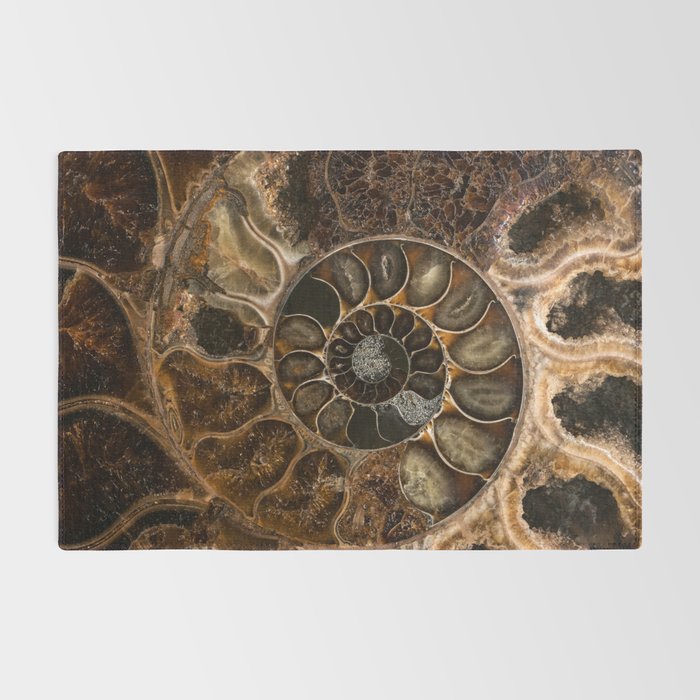 Earth treasures - Fossil in brown tones Rug Gallery Image 2