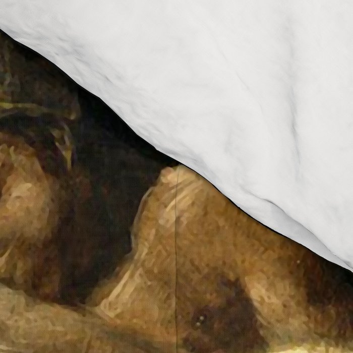 Francisco Goya "Witches' Flight also known as Witches in Flight or Witch" Comforter Gallery Image 4