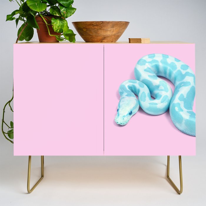 BLUE SNAKE Credenza Gallery Image 1