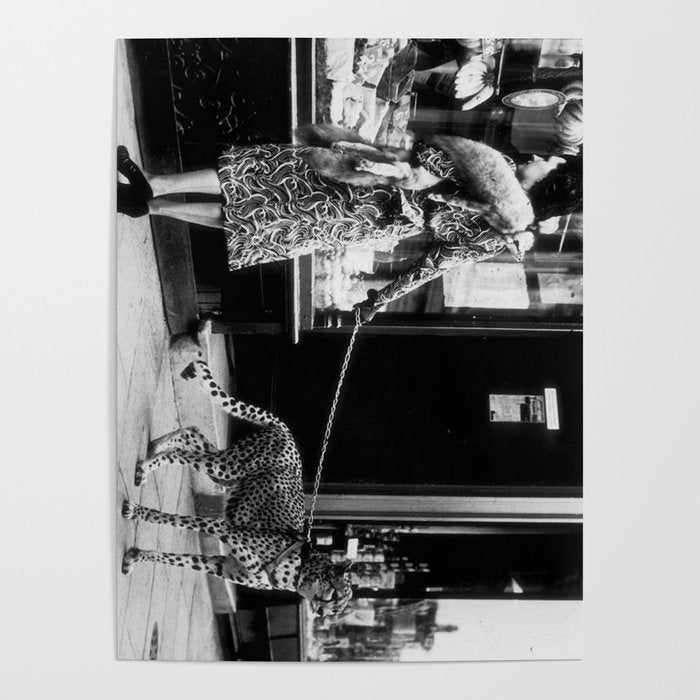 Woman Walking Pet Cheetah in London, 1939 Poster Gallery Image 1