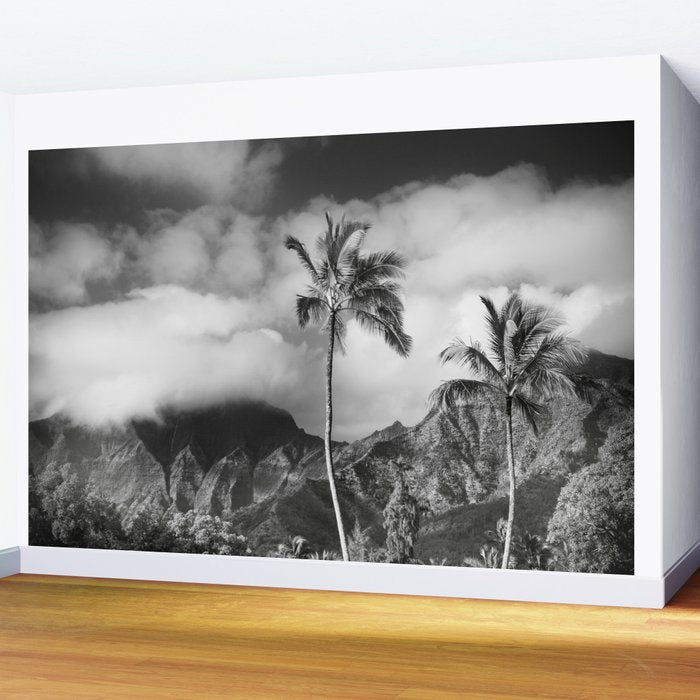 Kauai, Hawaii - Black and White Landscape Photography Wall Mural Gallery Image 2