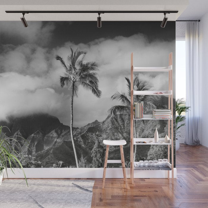 Kauai, Hawaii - Black and White Landscape Photography Wall Mural Gallery Image 1
