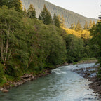 Adventure Forest River II - Pacific Northwest Wanderlust Coffee Mug Gallery Image 2