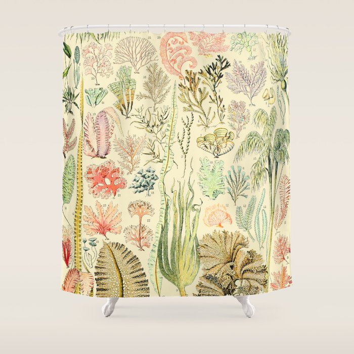 Seaweed and Coral Vintage Illustration Drawing by Adolphe Millot of Underwater Peach Pink Sea Plants Shower Curtain Gallery Image 1