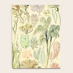 Seaweed and Coral Vintage Illustration Drawing by Adolphe Millot of Underwater Peach Pink Sea Plants Notebook Gallery Image 4