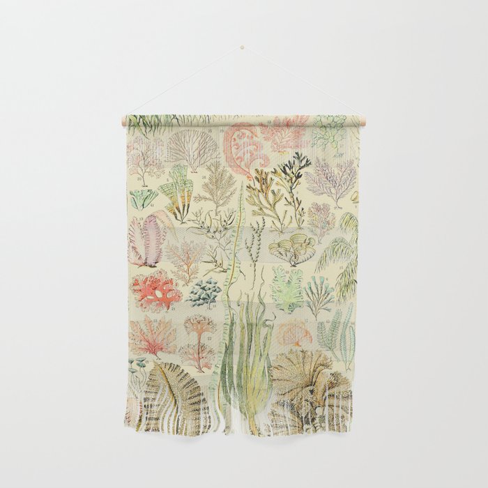 Seaweed and Coral Vintage Illustration Drawing by Adolphe Millot of Underwater Peach Pink Sea Plants Wall Hanging Gallery Image 1