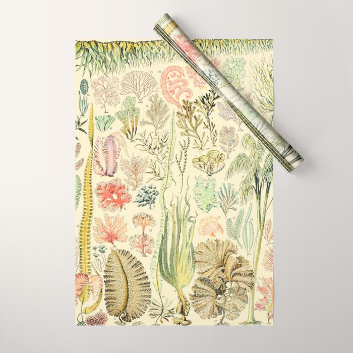 Seaweed and Coral Vintage Illustration Drawing by Adolphe Millot of Underwater Peach Pink Sea Plants Wrapping Paper Gallery Image 1