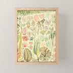 Seaweed and Coral Vintage Illustration Drawing by Adolphe Millot of Underwater Peach Pink Sea Plants Mini Art Print Gallery Image 1