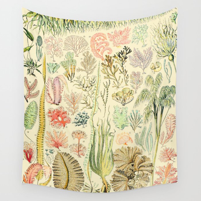 Seaweed and Coral Vintage Illustration Drawing by Adolphe Millot of Underwater Peach Pink Sea Plants Wall Tapestry Gallery Image 1