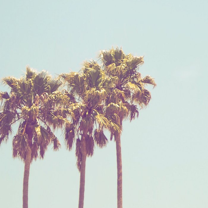 Palm Tree Coffee Mug Gallery Image 2