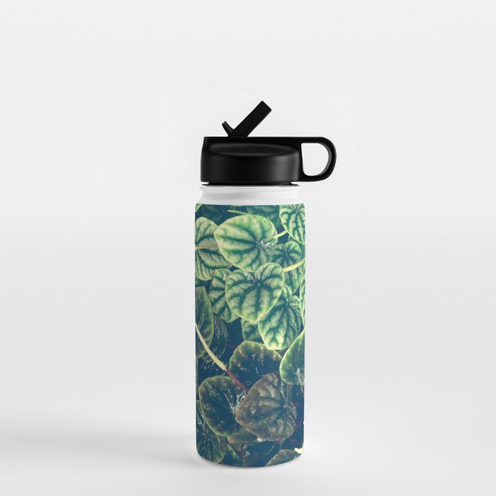 Green Leaves Water Bottle Gallery Image 1