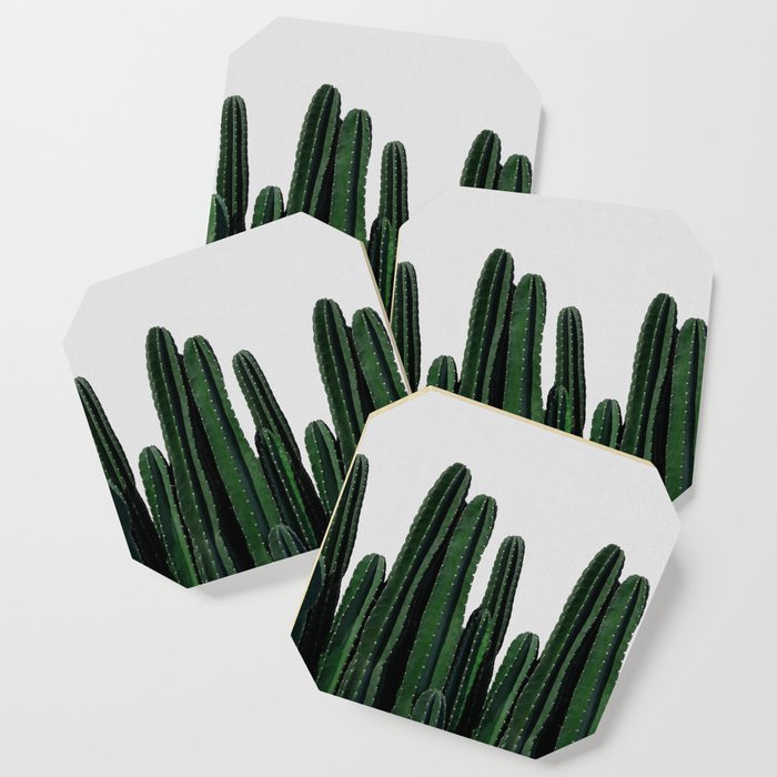Cactus I Coaster Gallery Image 1