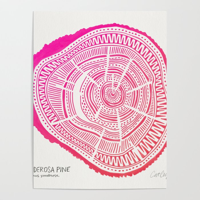 Ponderosa Pine - Pink OmbrÃ© Palette Poster Gallery Image 4