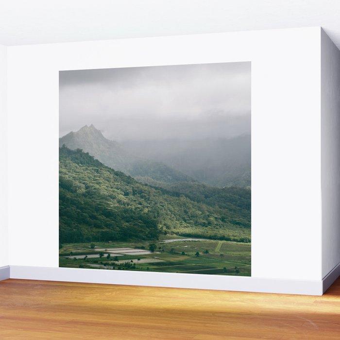 Hanalei Taro Fields - Hawaii Tropical Nature, Landscape Photography Wall Mural Gallery Image 2