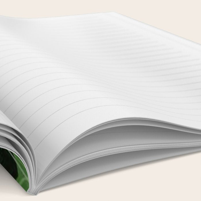 Frog Pond Notebook Gallery Image 2