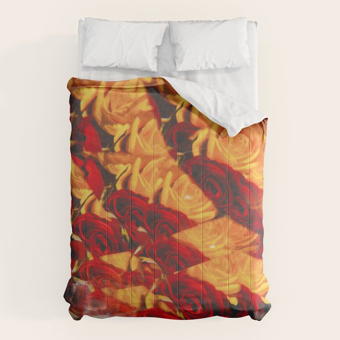 Kayla Comforter Gallery Image 6