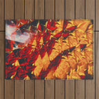 Kayla Outdoor Rug Gallery Image 1